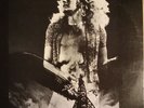 Led Zeppelin Vinyl 