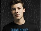 Shawn Mendes - Handwritten / Blue / LP Vinyl Record / Brand New * SHIPS FREE*