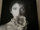 KATE BUSH - REMASTERED IN VINYL II (2) 180g 3LP BOX SET NEW