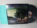 Fleetwood Mac - Tango in the Night,  Original Press, Ultrasonic Clean