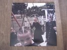 Crystal Castles Amnesty Vinyl 12