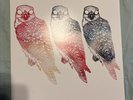Mindfullness by Flyying Colours (Record, 2016)
