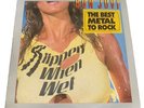 Bon Jovi Vinyl Bundle