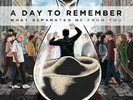 A Day to Remember  - What Separates Me From You Limited Edition Colored Vinyl LP
