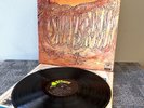 Savoy Brown – Blue Matter 1969 PAS71027 blues rock vinyl LP Dire Straits Hendrix
