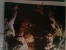 Wolves in the throne rooms wittr LP Vinyl Black Metal Darkthrone Shining ulver