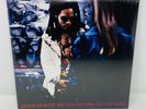 LIMITED EDITION Lenny Kravitz - Are You Gonna Go My Way RED/PURPLE Color Vinyl