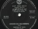 FOUNTAIN OF YOUTH 45: SUNSHINE ON A COLD MORNING + 1 AUSSIE RCA  66-1032  1968