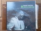 MUDDY WATERS  Mud In Your Ear 1973 LP MUSE 5008 MINT