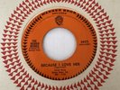 Human Beings 45 Because I Love Her / Ain't That Lovin' You Baby garage rock NM