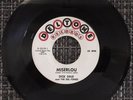 Dick Dale and the Del-Tones Miserlou single Del-Tone D-5019