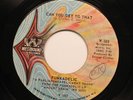 Hear  Funk Parliament 45 Funkadelic - Can You Get To That / Back In Our Minds On