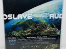 Audioslave - Revelations - LTD 500 Copies Color Vinyl - OFFICIAL Release Pallas
