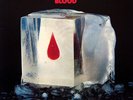 Cold Blood - Lydia Pense  Cold Blood - Vinyl Record.. - R34A
