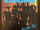 RAMONES – ANIMAL BOY vinyl LP NEW 2022 RSD rare Ramone joey richie