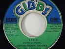 Dennis Brown & Dhaima 