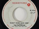 Gaylettes w/ Lyn Taitt & The Jets 