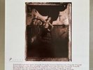 Pixies - Surfer Rosa - Numbered - Mobile Fidelity Sound Lab