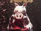 PRIMUS - Pork Soda 1993 double LP brown translucent vinyl VERY RARE