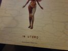 Nirvana - In utero - clear vinyl