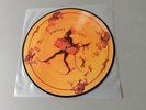 LANDBERK limited Picture Vinyl LP Riktigt Äkta (1996 Record Heaven Sweden)