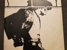 Sly and the Family Stone Anthology: Double Vinyl 12