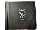 Pearl Jam Vault 3 Vinyl 1998 Used