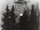 Darkthrone - Panzerfaust LP #77146