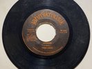 HEAR  RARE JAMAICAN ROOTS DUB 45 VG+  Fred Locks Black Star Liners JAHMIKMUSIK