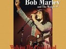 Bob Marley and The Wailers Walking the Proud Land: Live Radio Broadcast (Vinyl)