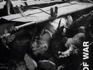 Disgust Brutality of War (Vinyl LP) 12