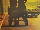 Ronnie Lane - Anymore For Anymore - LP Vinyl - 3550466 - NEW