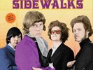 The Moving Sidewalks Flash (Vinyl) 12