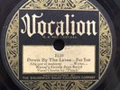 Down By The Levee/Parkway Stomp by Albert Wynne and His Gut Bucket Five (Vocalio