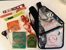 Lady Gaga pack VIP Chromatica Ball tour Paris