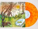 Animal Kingdom Vinyl, Cavetown Orange Record, LP
