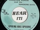 50s Rockabily Country Bop 45 HARDROCK GUNTER & SUNSHINE BOYS Spring GEE GEE hear