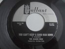 The Jagged Edge - You Can't Keep A Good Man Down 1966 USA 45 GALLANT GARAGE