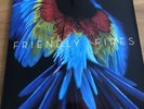 Friendly Fires RARE Pala Double 12” Vinyl LP Textured Text Gloss Gatefold Cover