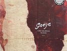 Gotye - Like Drawing Blood 12