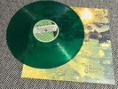 The Essex Green — Everything is Green — Green Vinyl — Kindercore / Elephant 6