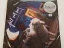 2007 Fall Out Boy Infinity On High Island Records Vinyl Picture Disc LP