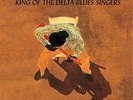 ROBERT JOHNSON: King of the Delta Blues Singers - 1970  CL-1654 LP *LIKE NEW*