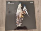 Courteeners - Falcon (White RSD Limited 12