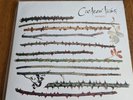 COCTEAU TWINS RARE TWINLIGHTS DOUBLE 7