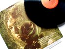 ORIGINAL 1972 TANYA TUCKER DELTA DAWN VINYL LP COUNTRY MASTERPIECE EX+