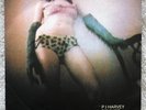 PJ Harvey - This Is Love/Angelene (Live) - Rare Org UK 45 in P/S  2001
