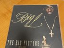 Big L- The Big Picture LP (1974-1999) Rawkus , Guru, Big Daddy Kane, Fat Joe