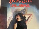 WASP - Live...Animal - 12