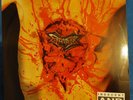 DISMEMBER - INDECENT AND OBSCENE Vinyl Lp First Press Slayer Napalm Death